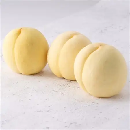 2026年先行予約　岡山白桃(ご家庭用)1.2キロ(1箱4～6玉)_果物・フルーツ もも  モモ 桃_【配送不可地域：離島】【1598090】