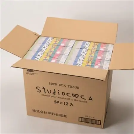 アートパッケージボックスティッシュ60箱【5箱入り×12セット】【1箱150組(300枚)】【1589794】