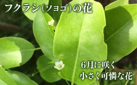 はちみつ ふくらし蜂蜜 [APAE005] はちみつ
