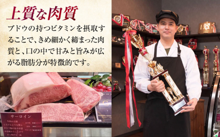 三次ワインビーフカルビ焼肉用500g[APAX005] 牛カルビ 黒毛和牛