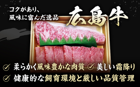 【全2回定期便】牛肉 肩ロース・サーロインセット [APAZ073] 牛肉