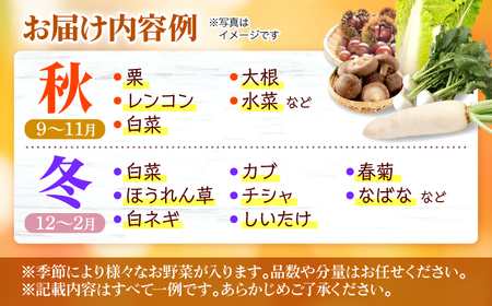【全2回定期便】厳選！農夫の野菜詰め合わせセット[APBA014] 野菜