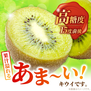 【2026年10月以降お届け】甘うぃ3kg箱_甘い キウイ 甘うぃ キウイフルーツ 3kg 国産 甘みの強い 果実 黄色味 福岡 オリジナル品種 濃厚 まろやか 高糖度 フルーツ 果物 ヨーグルト スムージー ジュース デザート 福岡県 久留米市 お取り寄せ お取り寄せフルーツ 送料無料 〔Fx018〕