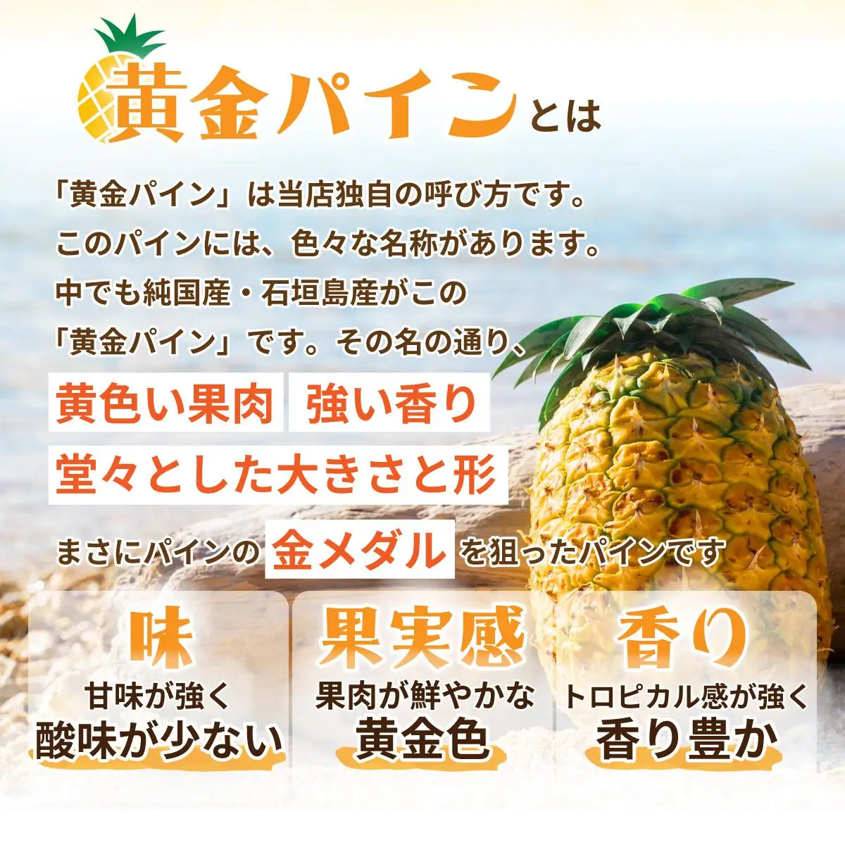 ＜先行予約＞ 石垣島産 黄金パイン 中玉 4玉 約5.2kg 