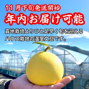 【先行予約】厳選 温室土佐文旦 3kg (5?6玉）〈2026年11月下旬から発送〉/文旦 ぶんたん ブンタン 土佐文旦 ハウス栽培 甘い 柑橘 フルーツ 果物 ご当地 お取り寄せ【土佐文旦の藤岡】 [BQBJ001]