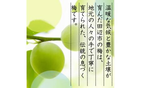 青梅 3kg 【tcs021】