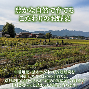 【先行受付】【定期便】旬のお野菜セット 詰め合わせ 3ヶ月定期便（7～10品目） 定期便 3か月 3回 旬 野菜 国産 こだわり野菜セット 京都府産野菜セット 京丹波町産野菜セット 季節 セット 野菜セット