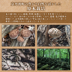 原木栽培 乾燥しいたけ 100g×2袋 計200g 原木 シイタケ しいたけ 椎茸 肉厚 芳醇 香り豊かなしいたけ 国産しいたけ 京都府産しいたけ 京丹波町産しいたけ きのこ 小分け うま味 おいしいしいたけ 食感 肉詰め 煮物 出汁 バター 醤油 炒め 10000円 一万円