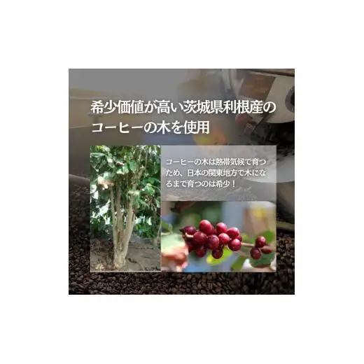 コーヒー豆の原木を使用して作製したボールペン（１本）【つくば市×牛久市×龍ケ崎市×利根町共通返礼品】