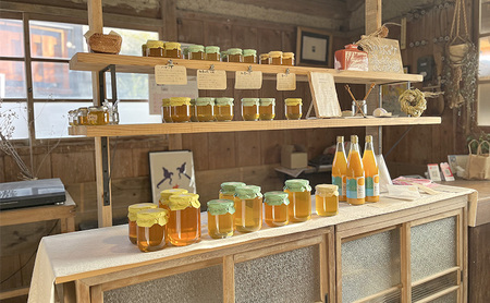 種類おまかせ！季節の天然はちみつ（大瓶600g×1個）ハチミツ 蜂蜜 島田市 静岡県