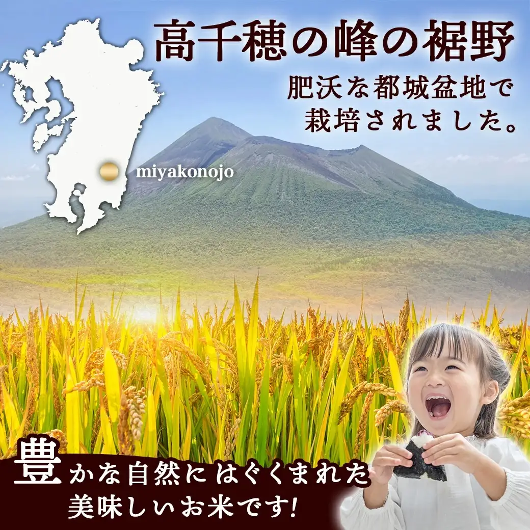 都城産ひのひかり15kg(5kg×3袋)〔AF-1506〕_(都城市) 令和7年産 都城産 お米 5kg×3袋 15kg ひのひかり