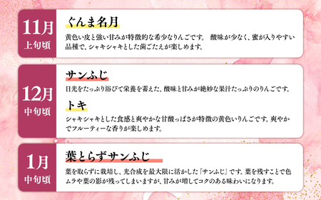 ≪2026年8月下旬頃より発送≫青森県産 贈答用りんご 6か月定期便 約3kg【青森県 平川市 なるみ農園】贈答 贈答規格 青森 青森県産 平川 りんご リンゴ 林檎 くだもの 果物 フルーツ ［hi-0036-011］