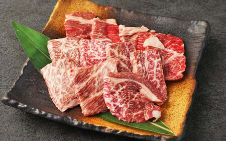 阿蘇あか牛 上ロース 約500g（約100g×5袋） ロース あか牛 お肉 肉 牛肉 小分け 冷凍
