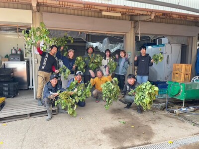 【先行予約】秋の味覚「丹波黒枝豆」 フレッシュな甘み・500g×2袋　初摘み 【2026年10月6日頃～13日頃発送予定】 [CU05]