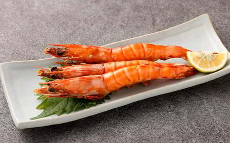冷凍活車エビ 500g （15～30尾） 無添加 車エビ 冷凍 活車エビ 海老 えび 熊本産 特殊冷凍
