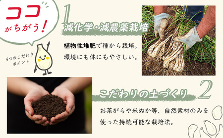 【数量限定】 伊豆 天城農園 青い鳥 らっきょうの甘酢漬け 130g×4パック【無添加 減塩 らっきょう 数量限定 】015-008