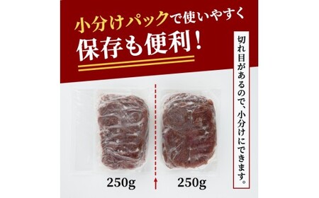 赤身牛タン切り落とし1kg（250g×4パック） 味付 焼肉【牛タン】【ho1481】