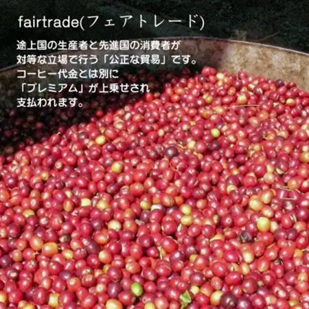 ペルー・キリマンジャロ・東ティモール　ドリップバッグ詰め合わせ　5個入り×3種_飲料・ドリンク ドリップ コーヒー・コーヒー豆 珈琲_【1599178】
