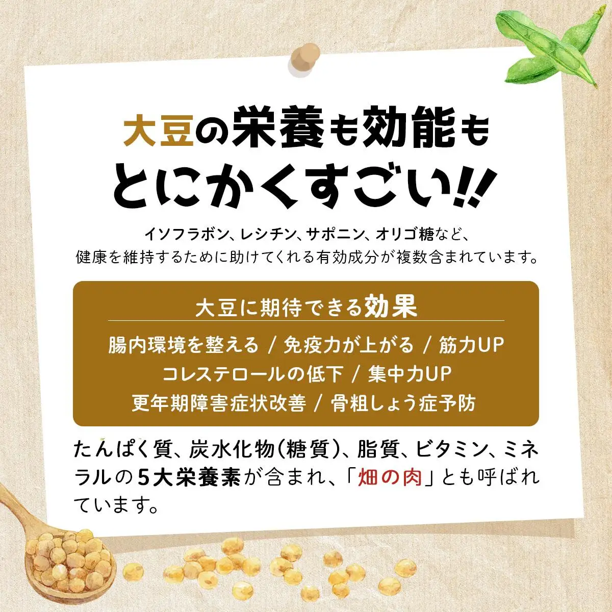 [5525-1207]なまら推し大豆 12缶 大豆のドライパック 缶 北海道産 苫小牧 広域 缶詰 長期保存可 常温 非常食