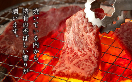 カルビ 赤身 焼肉セット 切り落とし1.3kg