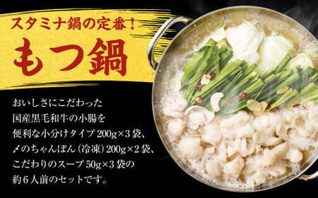 国産 黒毛和牛もつ鍋（醤油味） 6人前 冷凍ちゃんぽん・濃縮スープ付＋ハーブ育ちチキン使用！水炊き4人前 合計10人前 もつ ホルモン 鍋 お鍋 セット 冷凍 岡垣町