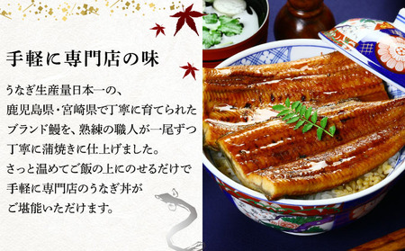 国産 うなぎ 蒲焼き（無頭 約180g前後）×2尾 タレ＆山椒付 [024-a270]