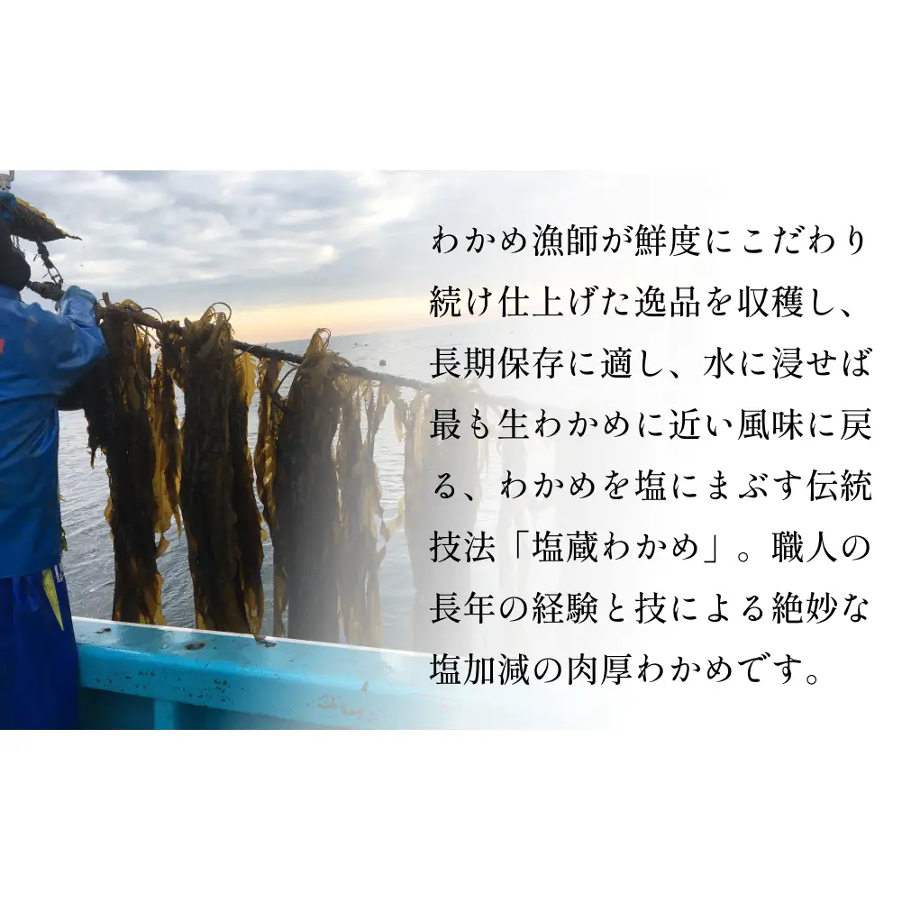 三陸産 塩蔵わかめ 900g（ 300g × 3袋 ） 塩蔵 肉厚 柔らかい わかめ ワカメ 国産 海藻 水産物