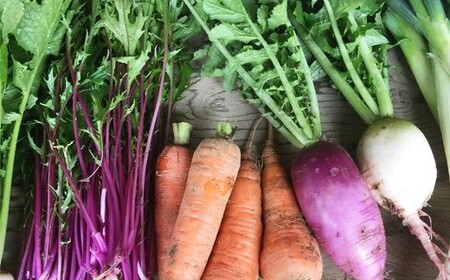 【定期便3回】ひばり農園の無農薬ワクワク野菜セット 【2151】