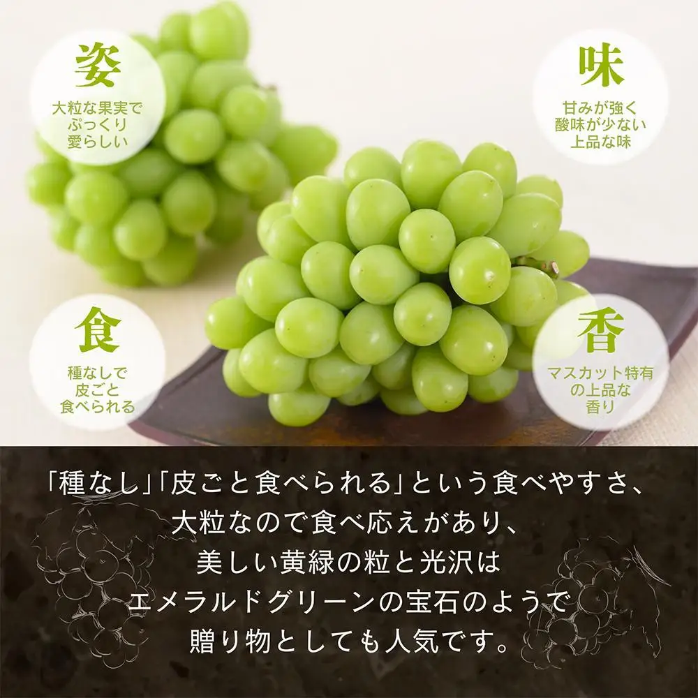 【先行予約 秋季 2026年9月上旬発送～】岡山県産シャインマスカット 1.5kg（2～3房）【021-a020】