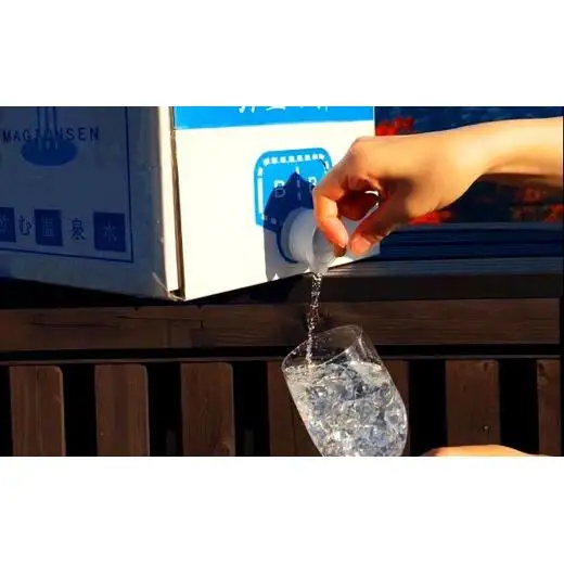 【6ヶ月定期便】奇跡の飲む温泉水「真木温泉 弥生の舞」　飲泉力（BIBバック）10L入り