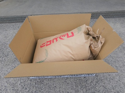 令和７年産岩美のコシヒカリ 30kg 玄米｜鳥取 岩美 お米【31017】