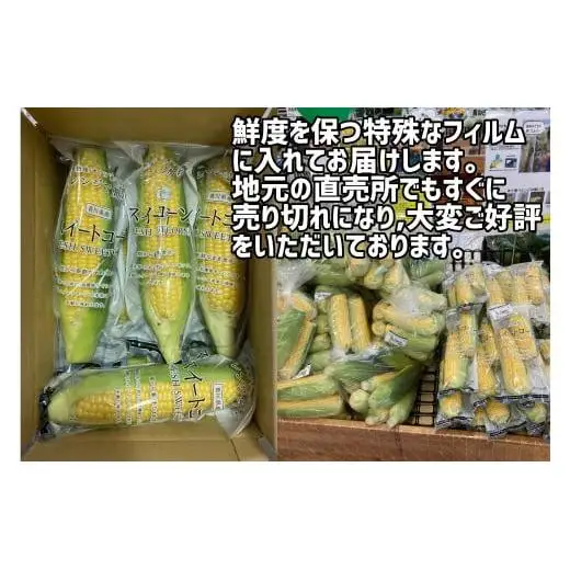 【先行予約受付中！】2026年産　善通寺市産 スイートコーン 2.5kg（鮮度保持袋入り）　（6月頃から発送開始予定）