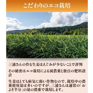 【予約受付】ミネラル豊富なエコ栽培の生姜1kg ／Fms-20 しょうが ジンジャー おかず 野菜 大容量