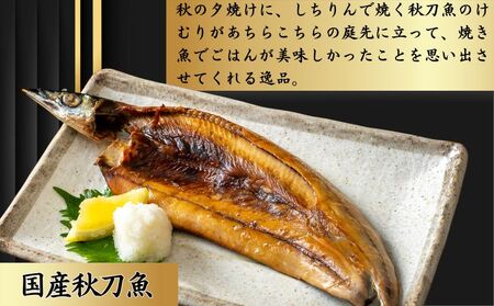  秋刀魚開干 10枚 さんま