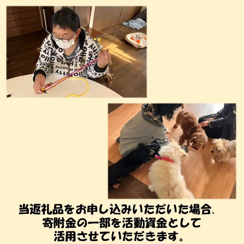 《14営業日以内に発送》パラコード製 ストラップ1個 キーホルダー2個 3点セット ( ペット 犬 小物 わんこ 手作り )【195-0004】