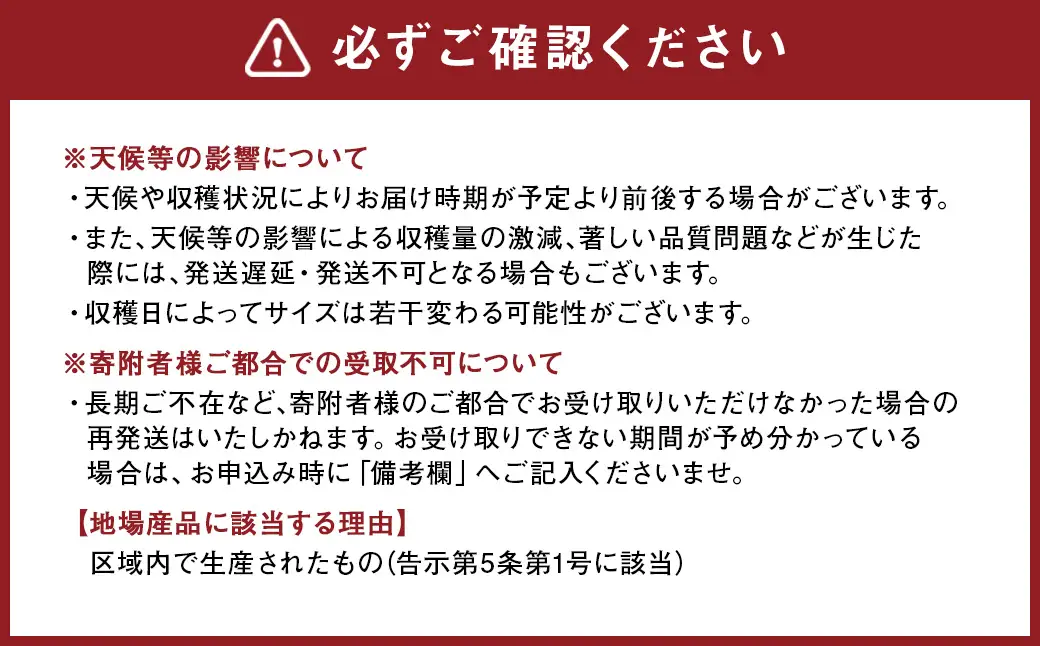 熊本県産晩白柚 2玉入り 【2026年12下旬発送開始】 みかん ミカン 柑橘 果物 くだもの フルーツ