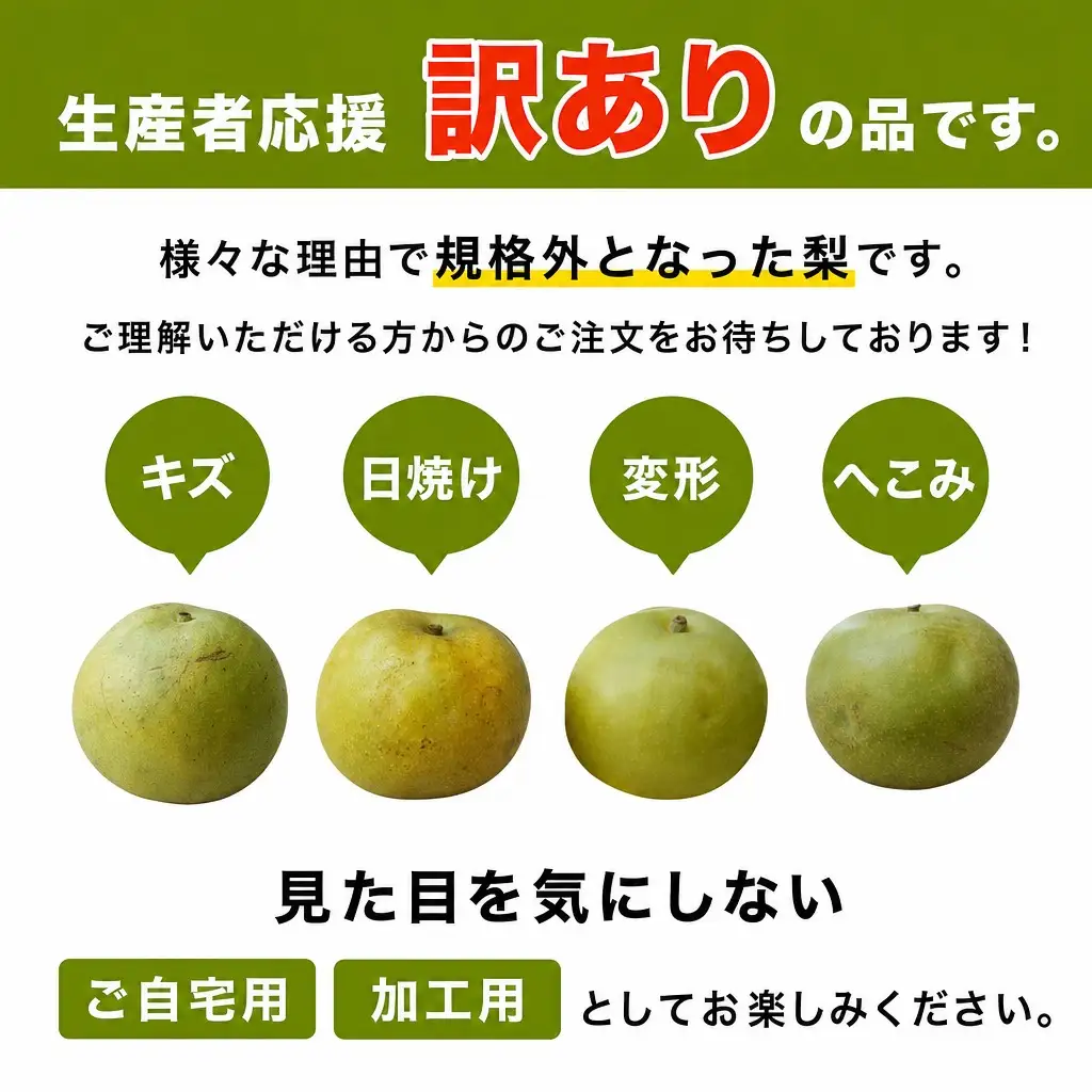 【先行予約】 2026年度産 梨 訳あり 二十世紀梨 5kg（10～18玉）サイズバラつき有り（L～5L）生産者応援商品 【令和8年9月上旬以降発送予定】 20世紀梨 フルーツ 果物  12-23