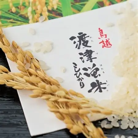 《高級日本料理店採用》蛍の里「渡津米」白米5kg・栽培期間中農薬化学肥料70%減_ 精米 米 _【1556918】