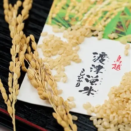 《高級日本料理店採用》蛍の里「渡津米」玄米5kg・栽培期間中農薬化学肥料70%減_ 玄米 米 こめ コメ_【1564175】