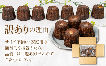 【訳あり】 家庭用 カヌレ８個入（プレーン）自宅用 サイズバラバラ 不揃い のため 訳あり 訳アリ 北海道産 純 生クリーム バター 牛乳 国産 岐阜県 本巣市 卵 無添加 甘い スイーツ デザート コーヒー アイス 季節 スイーツ [mt1769] 8000円