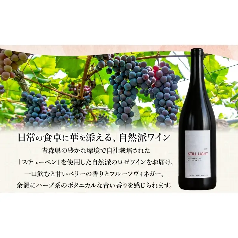 スティールライト  750ml 2本 セット  ワイン 赤ワイン スチューベン お酒 果実酒 アルコール 自然派 熟成 フレッシュ 晩酌 お祝い 記念日 贈り物 ギフト 手土産 ご当地 お取り寄せ 送料無料 青森県 西目屋村