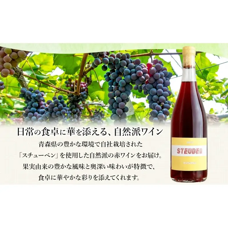 スチューベンナチュラル 750ml 2本 セット ワイン 赤ワイン スチューベン お酒 果実酒 アルコール 自然派 スキンコンタクト 野生酵母 晩酌 お祝い 記念日 贈り物 ギフト 手土産 ご当地 お取り寄せ 送料無料 青森県 西目屋村