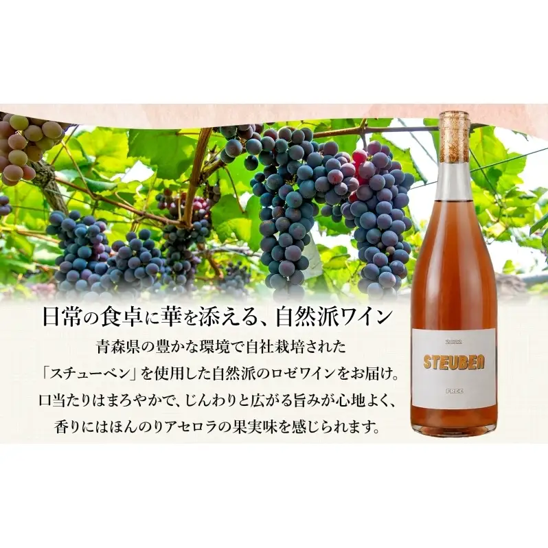 スチューベンフリー 750ml 2本 セット 赤ワイン ロゼ スチューベン お酒 果実酒 アルコール 自然派 スキンコンタクト 野生酵母 熟成 晩酌 お祝い 記念日 贈り物 ギフト 手土産 ご当地 お取り寄せ 送料無料 青森県 西目屋村