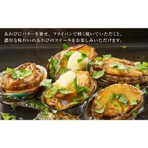 大満足あわびセット （旨煮あわび2粒 /蒸しあわび　500g）【配送不可：北海道・沖縄・離島】◆