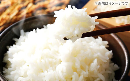 【先行予約】【令和8年産】 夢しずく 無洗米 5kg / お米 [IBV004]