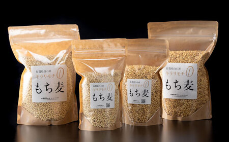【2回定期便】キラリモチ もち麦 2kg / もち麦 [IBV008]