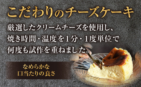 究極のとろけるバスクチーズケーキ　2点セット・T113