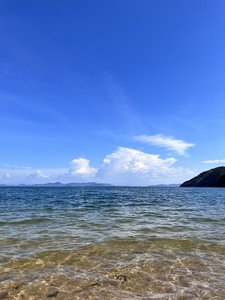 倉橋島産　ひじきの佃煮　150ｇ×3個 ku196-001-r