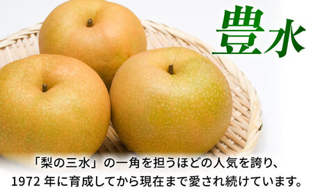【先行予約】豊水梨　約5kg 梨 ナシ フルーツ 果物 【日本フルーツ株式会社】 [ZFJ013]