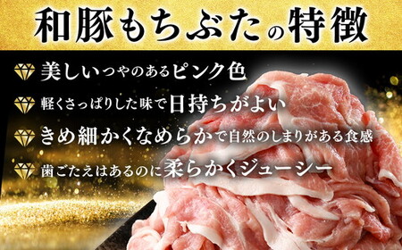 和豚もちぶた 切り落し 4kgセット (400g×10パック) 